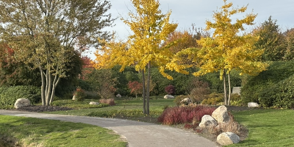 20251106 nieuwe stenen en herfstkleuren