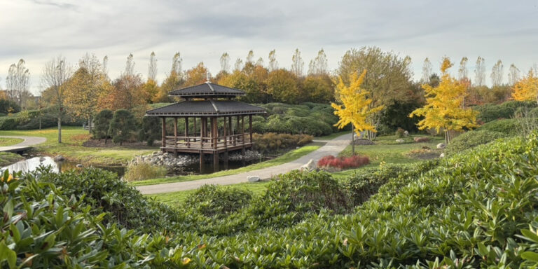 paviljoen stenen herfst